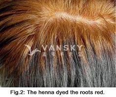 241205142115_Hair-Dying with henna-s.jpg